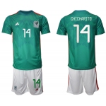 Men's Mexico #14 Chicharito Green Home Soccer Jersey Suit