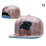 Carolina Panthers TX Hat