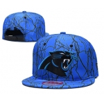 Panthers Team Logo Blue Adjustable Hat TX