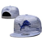 2021 NFL Detroit Lions Hat TX604