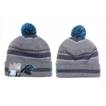 Carolina Panthers Beanies YD009