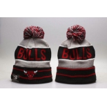 Chicago Bulls 02 -YP1030
