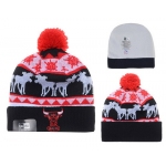 Chicago Bulls Beanies YD011
