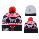 Chicago Bulls Beanies YD011