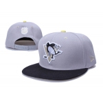Pittsburgh Penguins 17