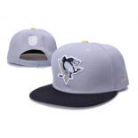 Pittsburgh Penguins 17
