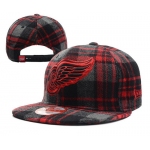Detroit Red Wings Snapbacks YD004