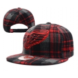 Detroit Red Wings Snapbacks YD004