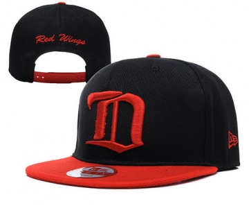 Detroit Red Wings Snapbacks YD007