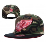 Detroit Red Wings Snapbacks YD008