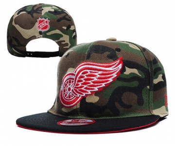 Detroit Red Wings Snapbacks YD008