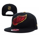 Detroit Red Wings Snapbacks YD009