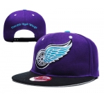 Detroit Red Wings Snapbacks YD010