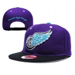 Detroit Red Wings Snapbacks YD010