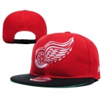 Detroit Red Wings Snapbacks YD012
