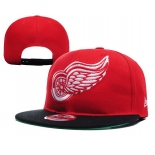 Detroit Red Wings Snapbacks YD012