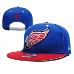 Detroit Red Wings Snapbacks YD013