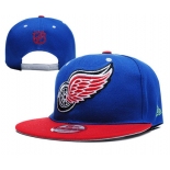 Detroit Red Wings Snapbacks YD013