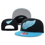 Detroit Red Wings Snapbacks YD014