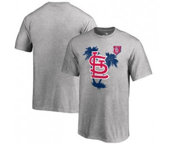 St. Louis Cardinals Fanatics Branded 2018 MLB Spring Training Vintage T Shirt Heather Gray