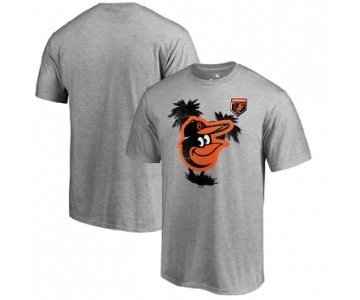 Baltimore Orioles Fanatics Branded 2018 MLB Spring Training Vintage T Shirt Heather Gray