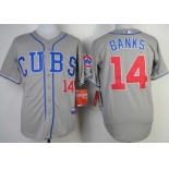 Chicago Cubs #14 Ernie Banks 2014 Gray Jersey