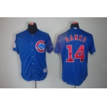 Chicago Cubs #14 Ernie Banks Blue Jersey